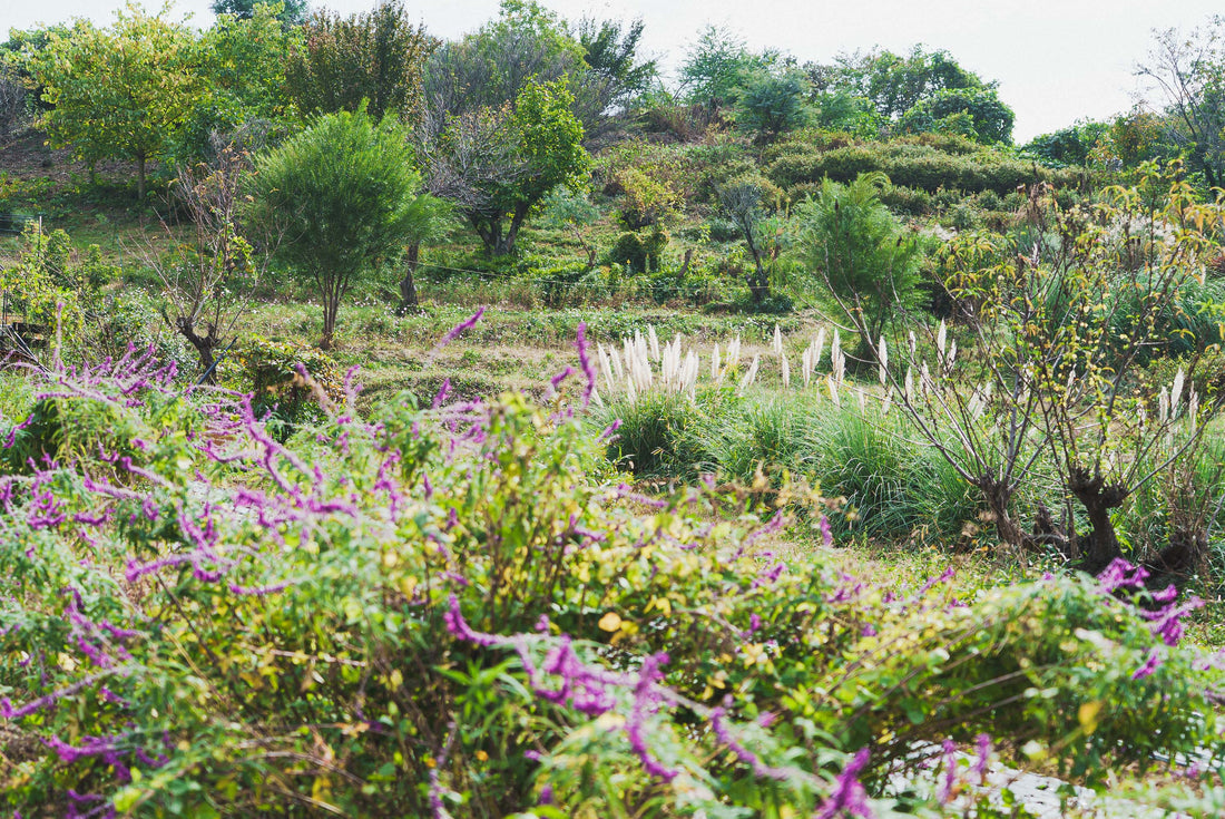 吉垣花園