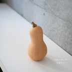 パンプキン 5個セット