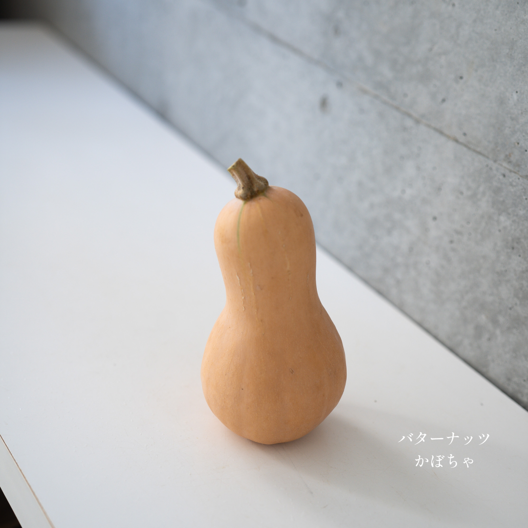 パンプキン 5個セット