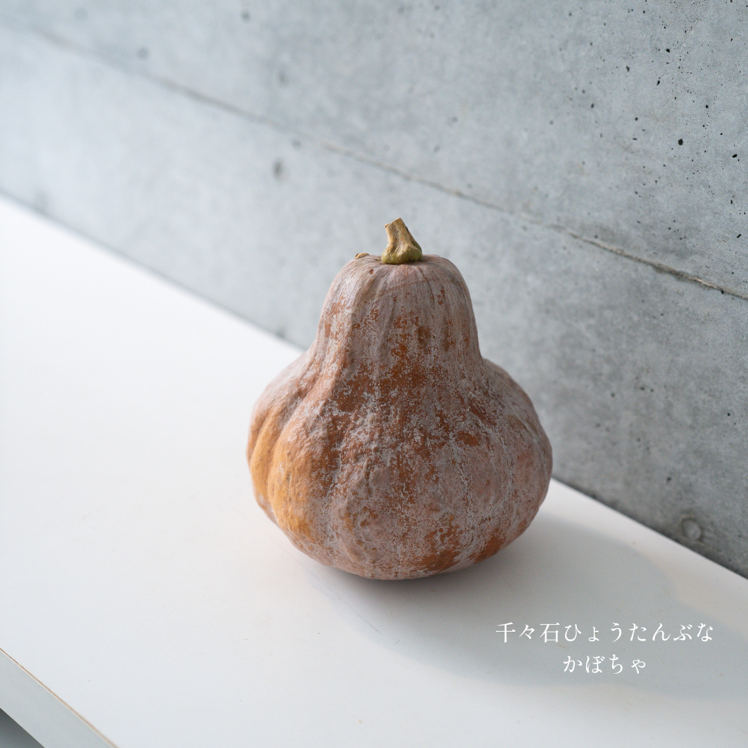 パンプキン 3個セット