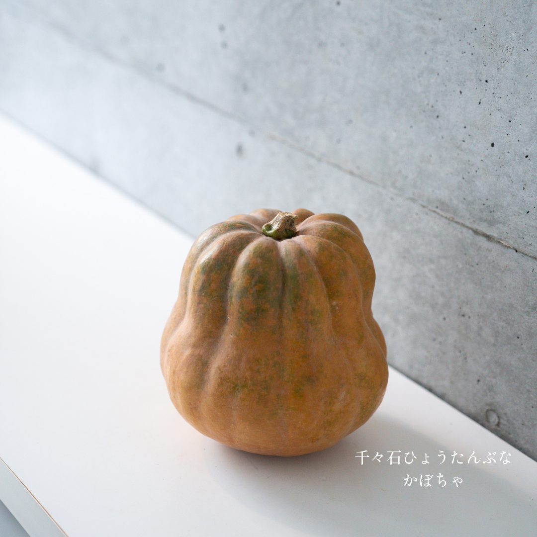 パンプキン 3個セット