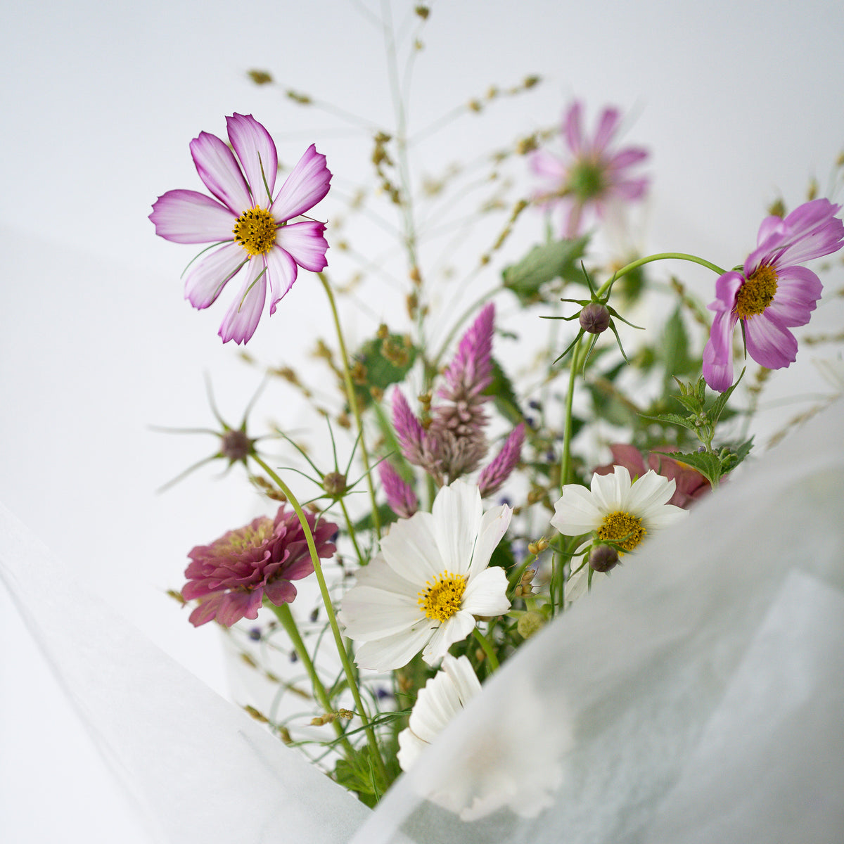 コスモスの花束　〜9月後半まで