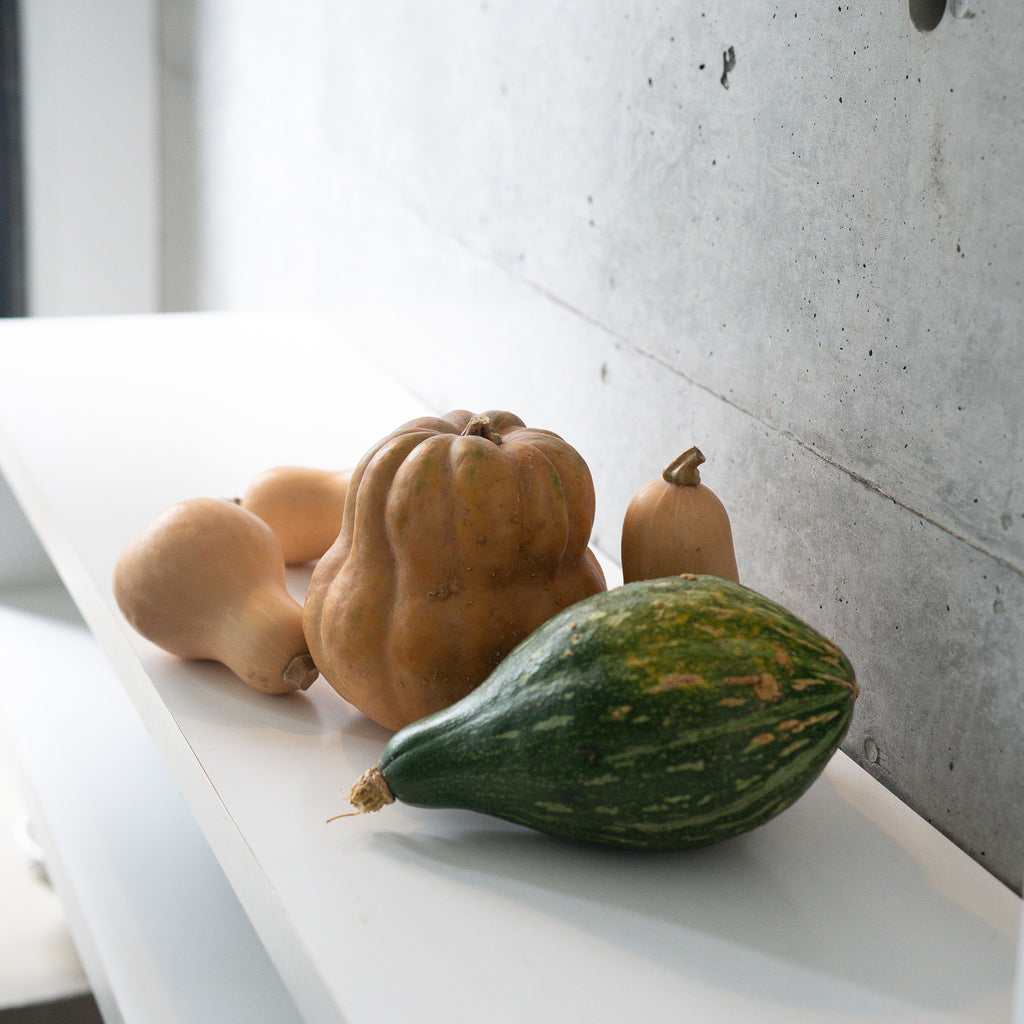 パンプキン 5個セット