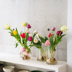 【4/19(日)お届け 翌日着エリア限定】球根付きチューリップ　¥2,750より