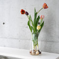 【4/19(日)お届け 翌日着エリア限定】球根付きチューリップ　¥2,750より