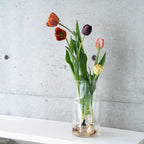 【4/18(土)お届け 翌日着エリア限定】球根付きチューリップ　¥2,750より