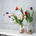 【4/19(日)お届け 翌日着エリア限定】球根付きチューリップ　¥2,750より