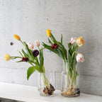 【4/18(土)お届け 翌日着エリア限定】球根付きチューリップ　¥2,750より