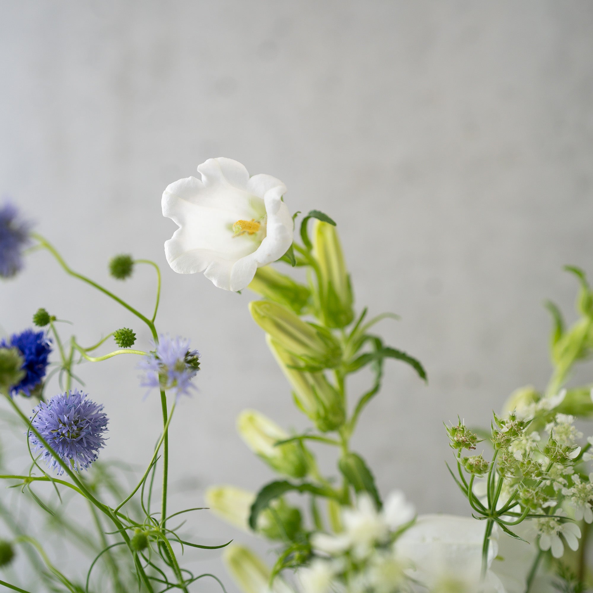 季節の花束 Sサイズ