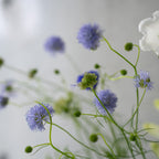 季節の花束 Sサイズ