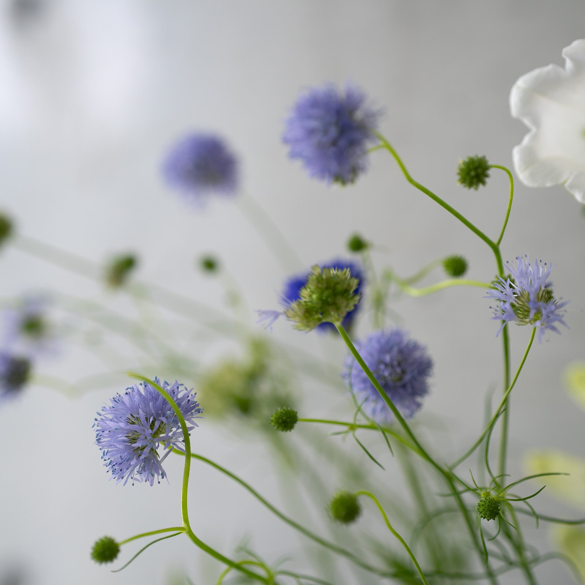 季節の花束 Sサイズ