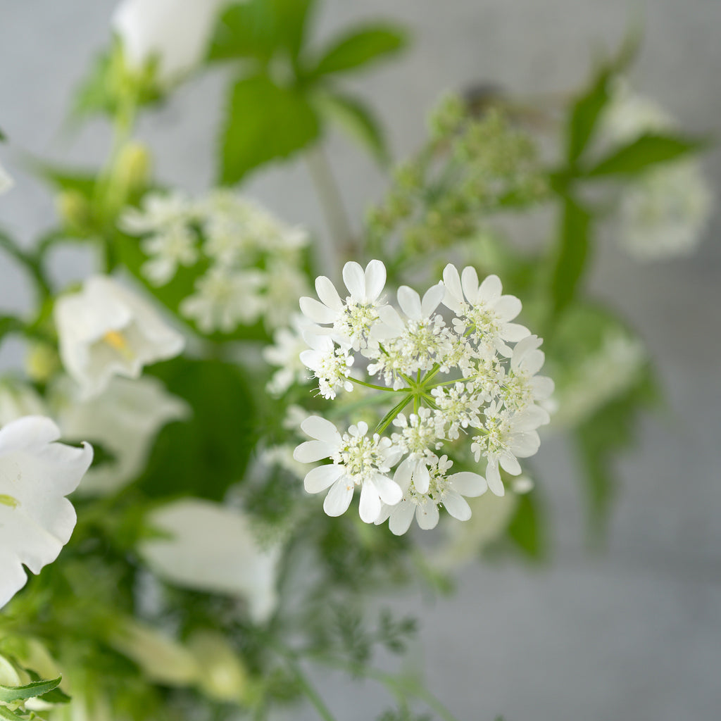 季節の花束 Mサイズ