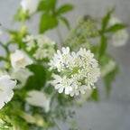 季節の花束 Mサイズ