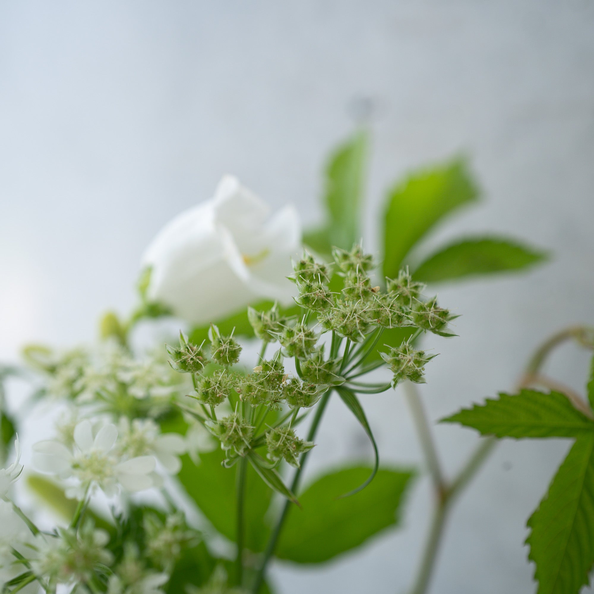 季節の花束 Sサイズ