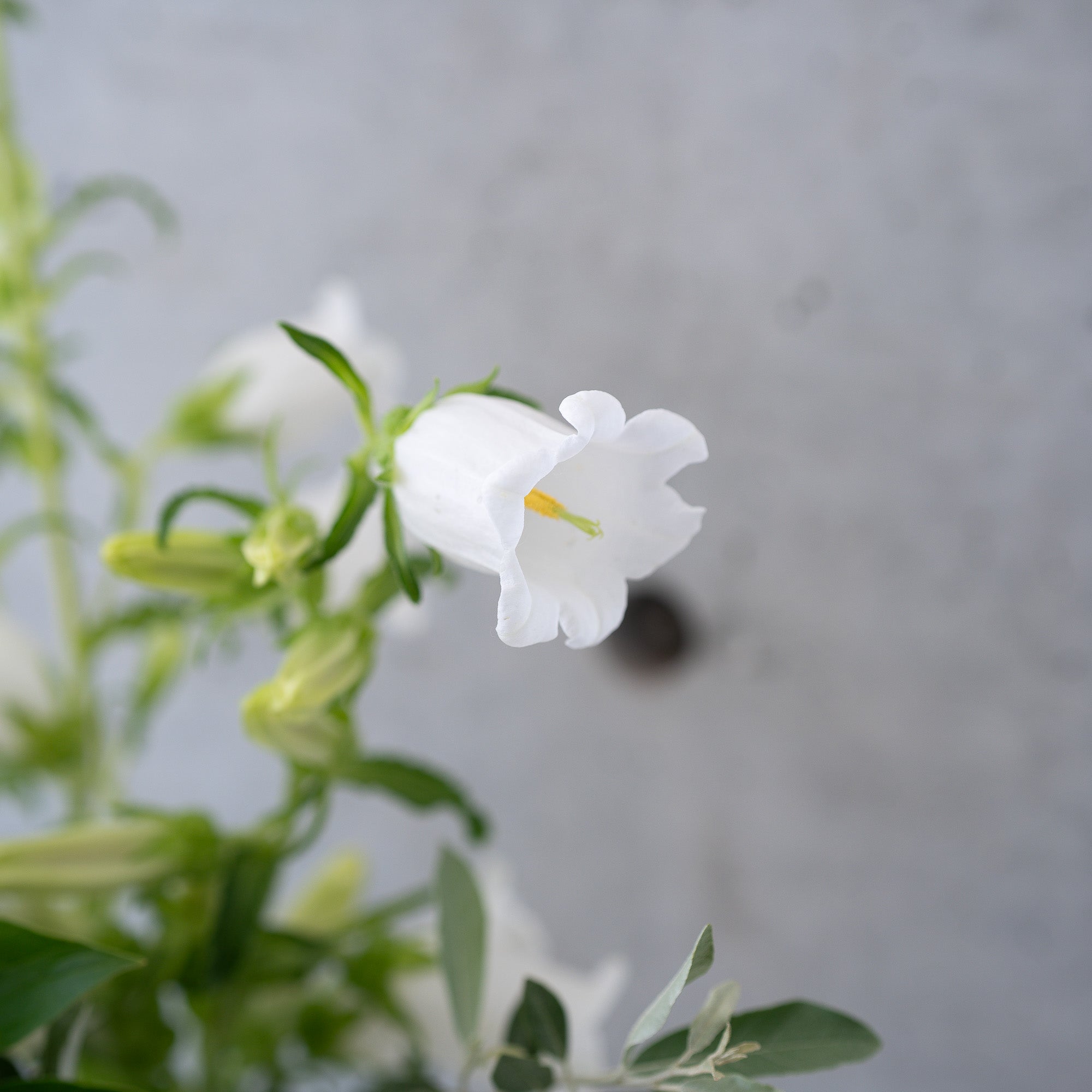 季節の花束 Mサイズ