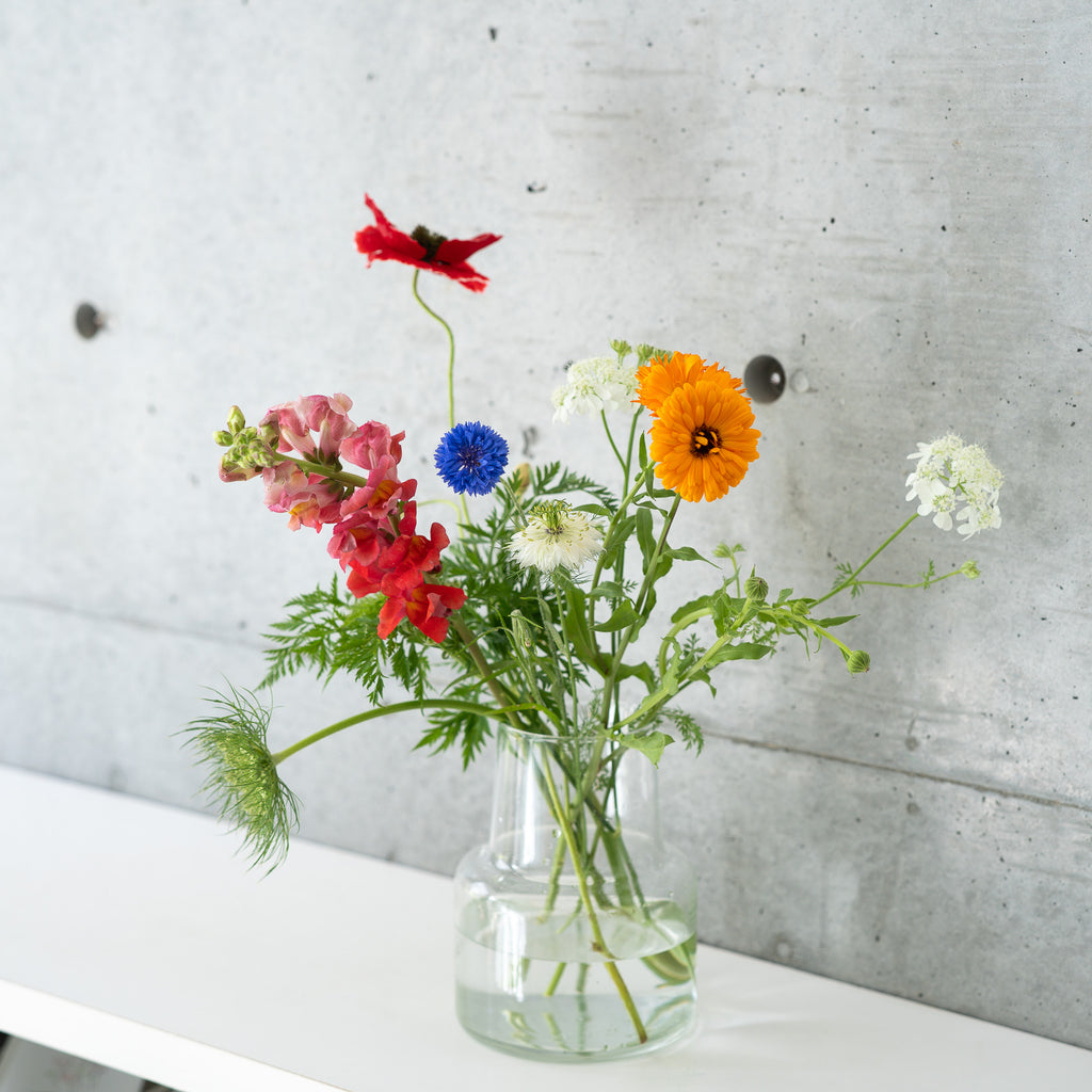 大地の花 7本セット