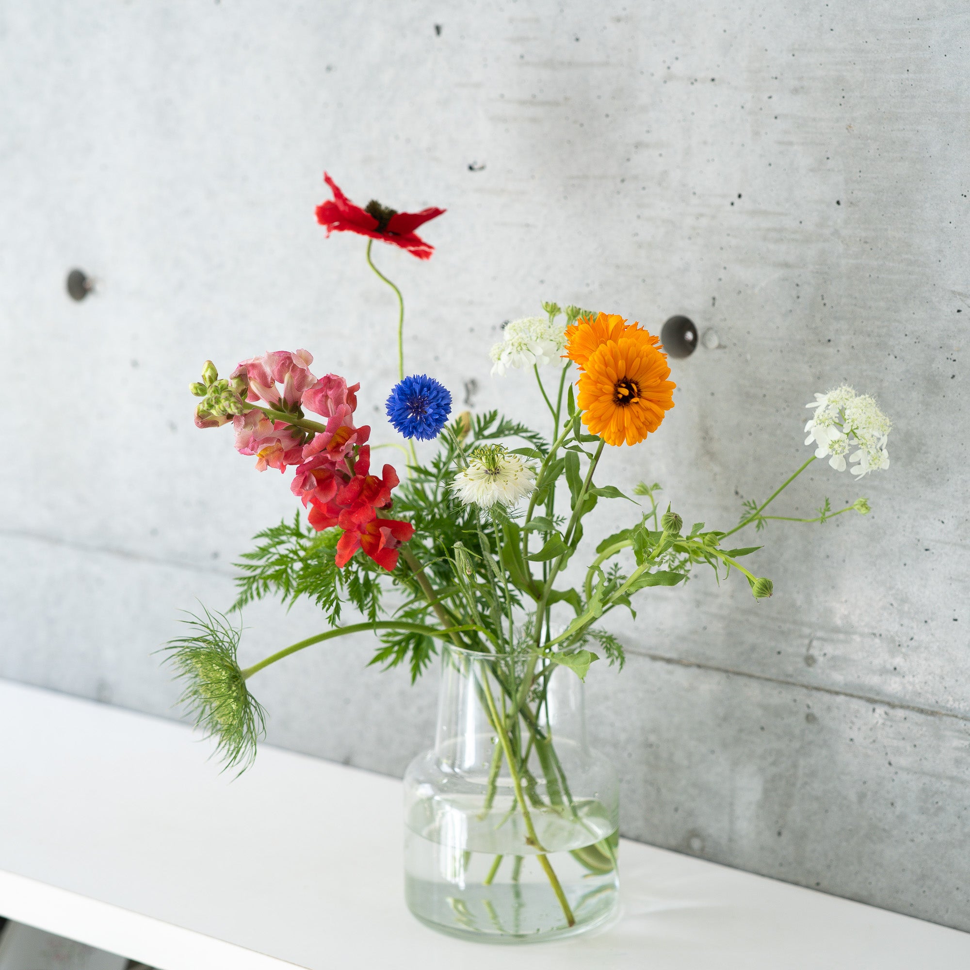 大地の花 7本セット