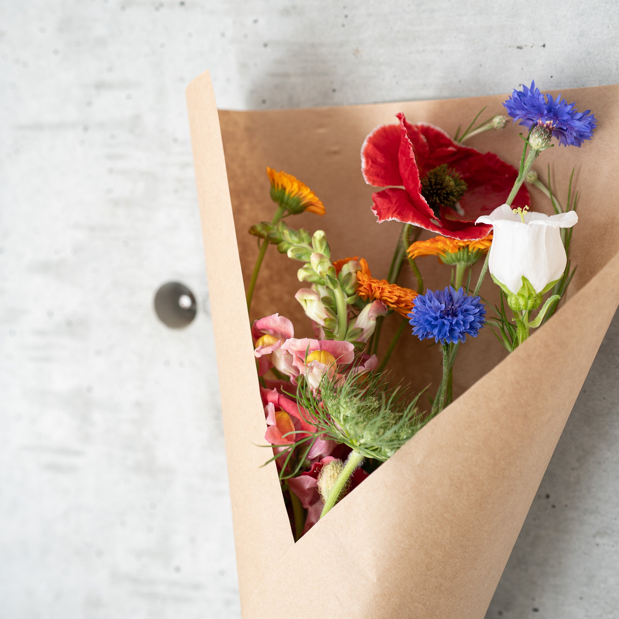 大地の花 7本セット