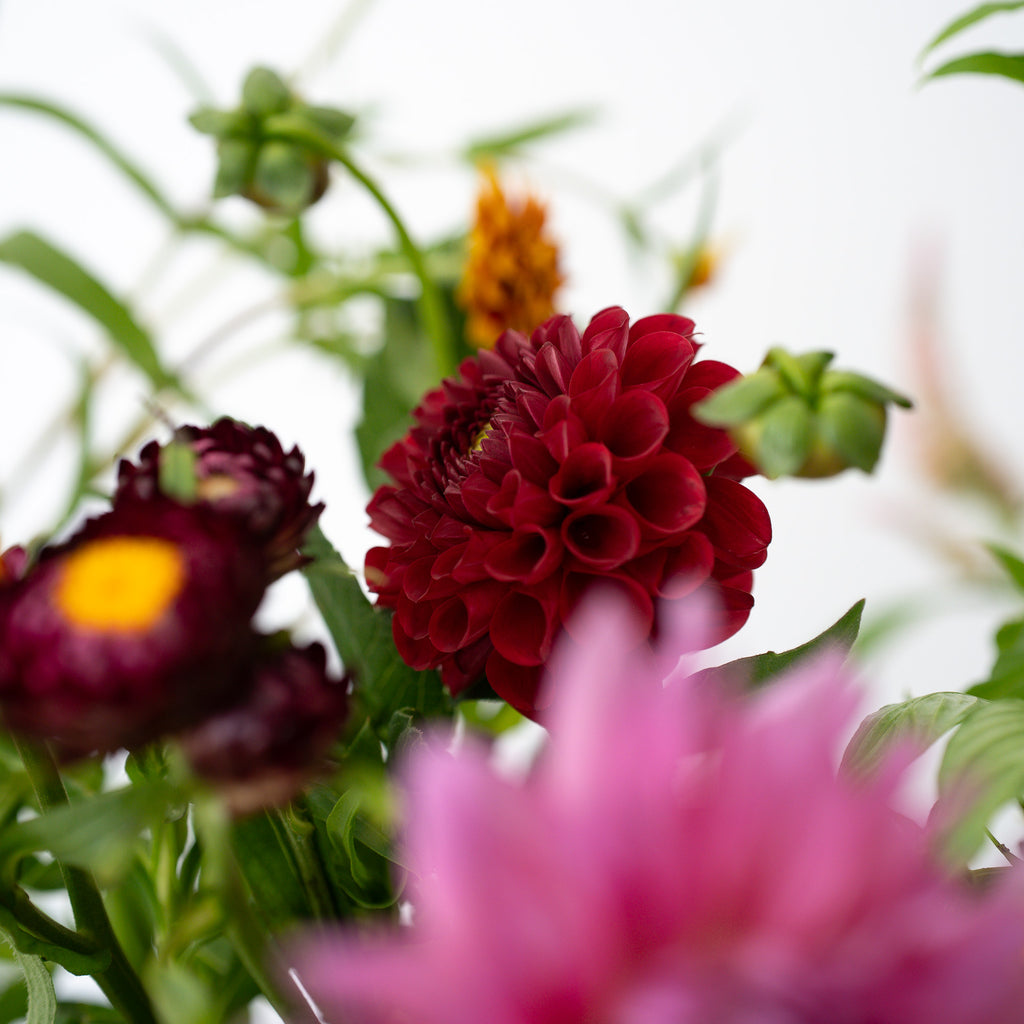 季節の花束 Lサイズ