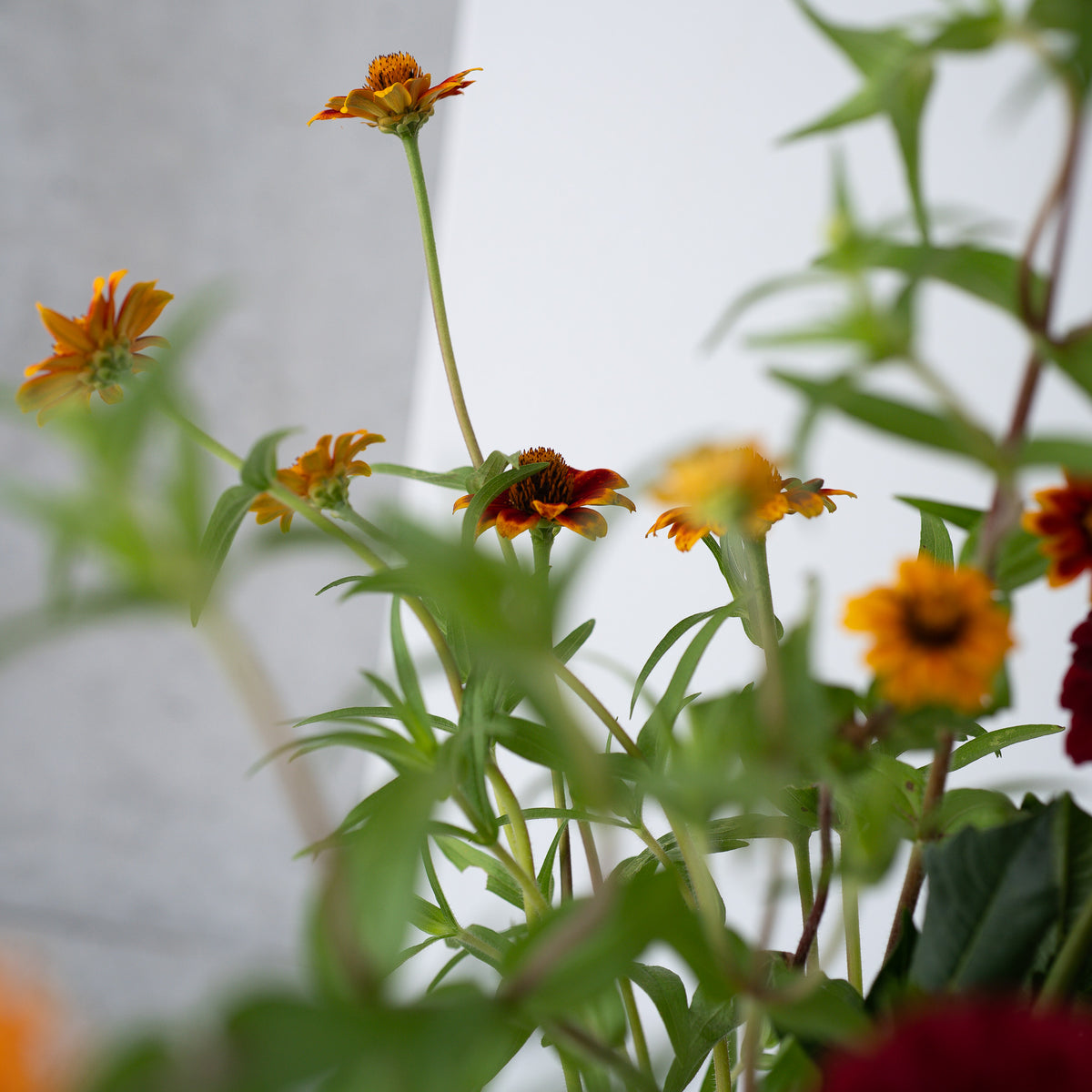 季節の花束 Mサイズ