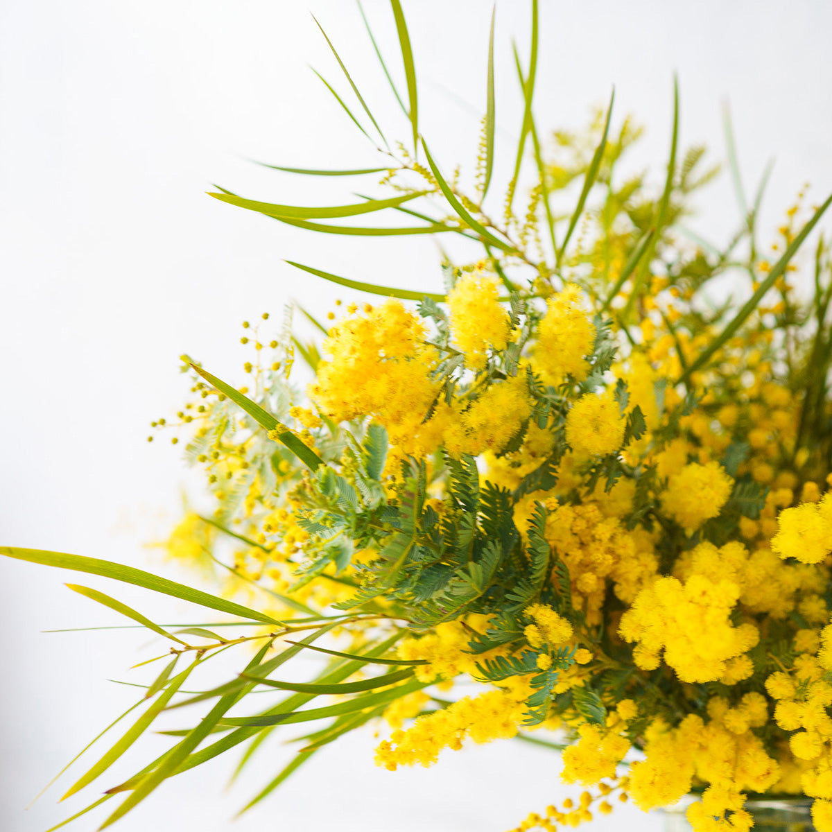 【3/8(日)お届け 翌日着エリア限定】季節の花束 Mサイズ